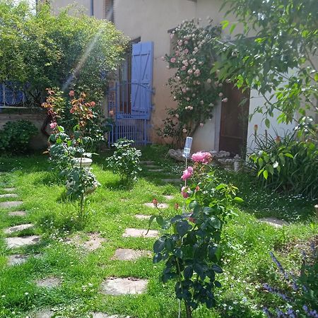 Studio La Roseraie Avec Jardin Privatif Proche Centre Ville Moissac Eksteriør bilde