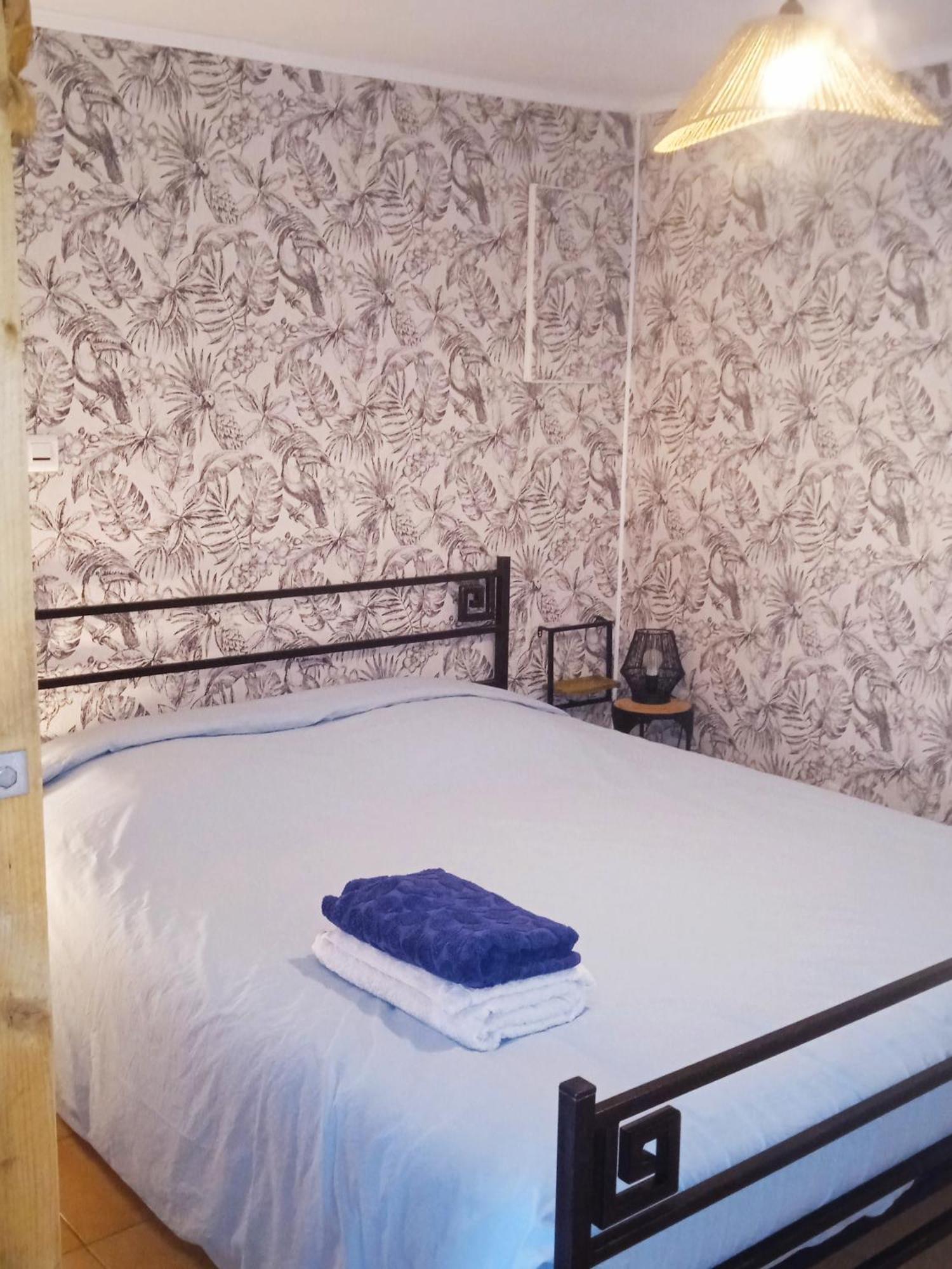 Studio La Roseraie Avec Jardin Privatif Proche Centre Ville Moissac Eksteriør bilde